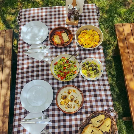 Logu I Harushave 세스